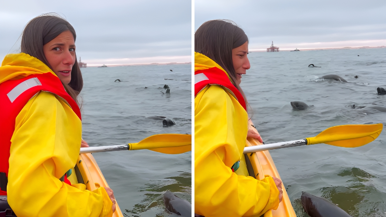 ERa in canoa quando, vedendo un gruppo di animali avvicinarsi, non trattiene l'emozione